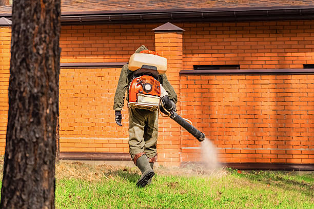Bed Bug Clearance Verification and Documentation in Ruskin